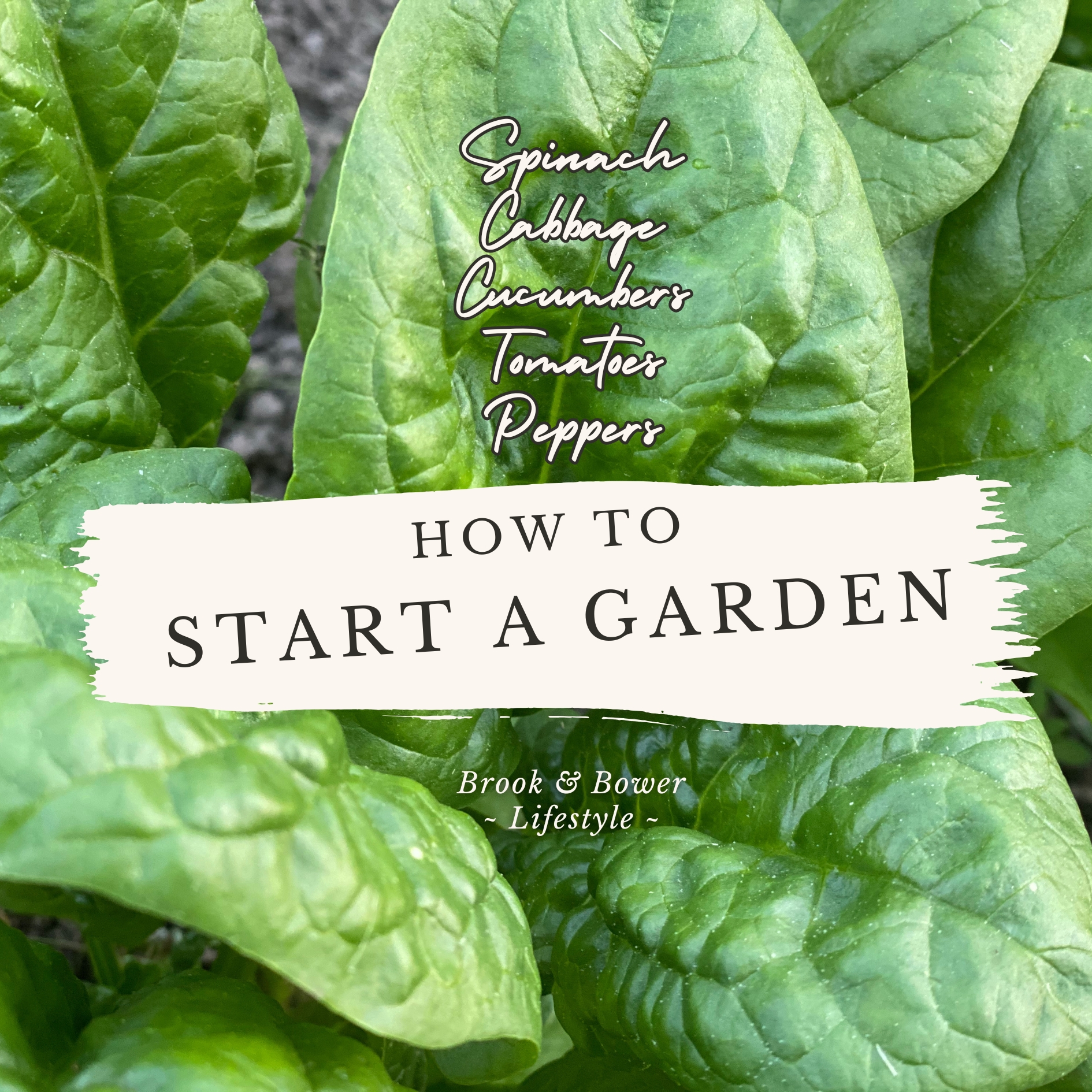 How to start your garden